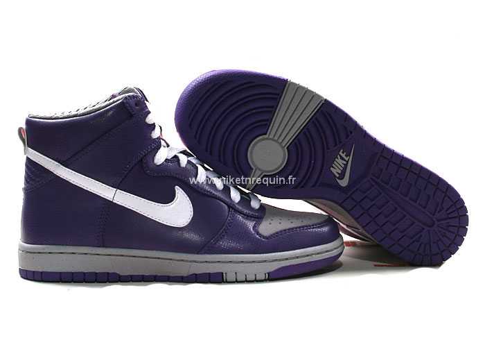 Gros Dunk Sb Bleu